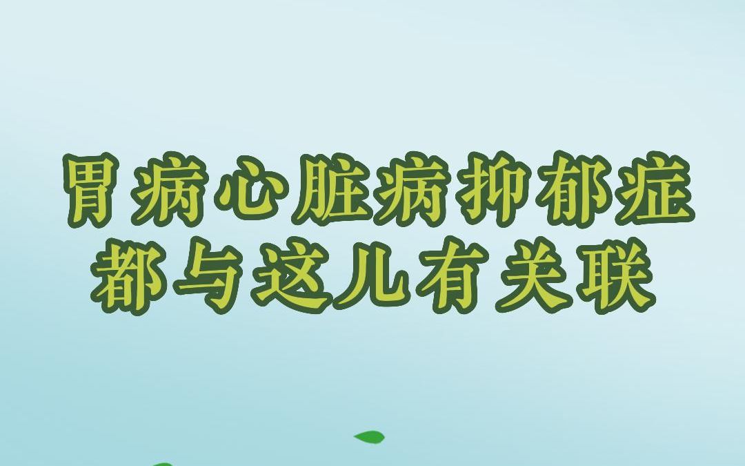 知己61:胃病心脏病抑郁症都与这儿有关 #中医 #徐文兵哔哩哔哩bilibili