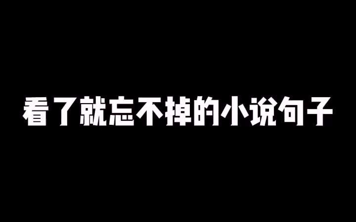 徐言:看了就忘不掉的小说句子(转自抖音@徐言)哔哩哔哩bilibili