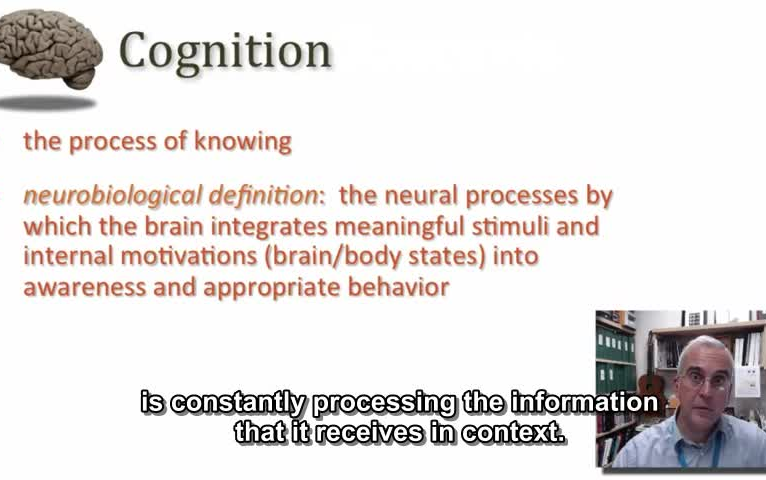 [Duke University] Medical Neuroscience 杜克大学医学神经科学(英文字幕)Unit 6哔哩哔哩bilibili