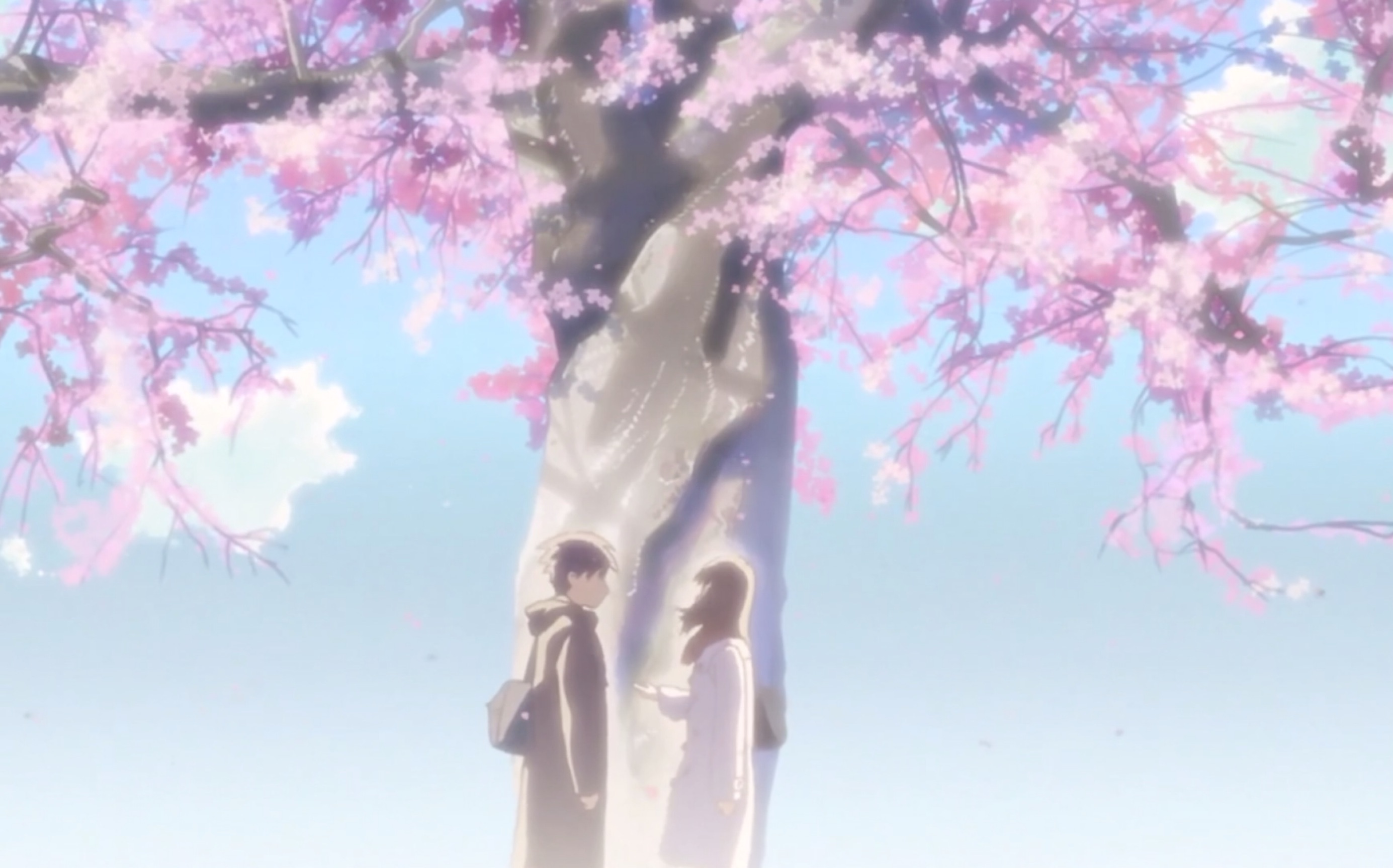 秒速五厘米樱花掉落的速度是每秒五厘米那么我该用怎样的速度才能与你