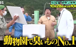 水曜日のダウンタウン 搜索结果 哔哩哔哩 Bilibili