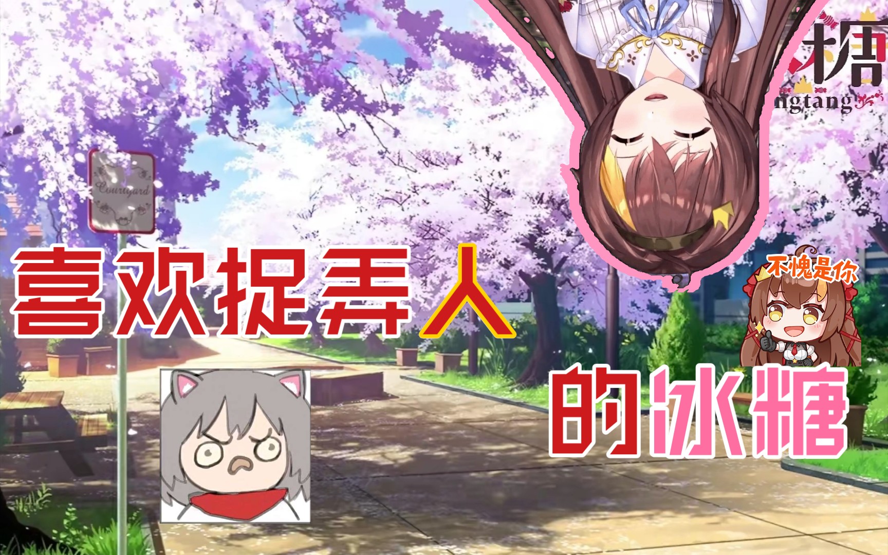 冰糖io喜欢捉弄人的小可爱冰糖