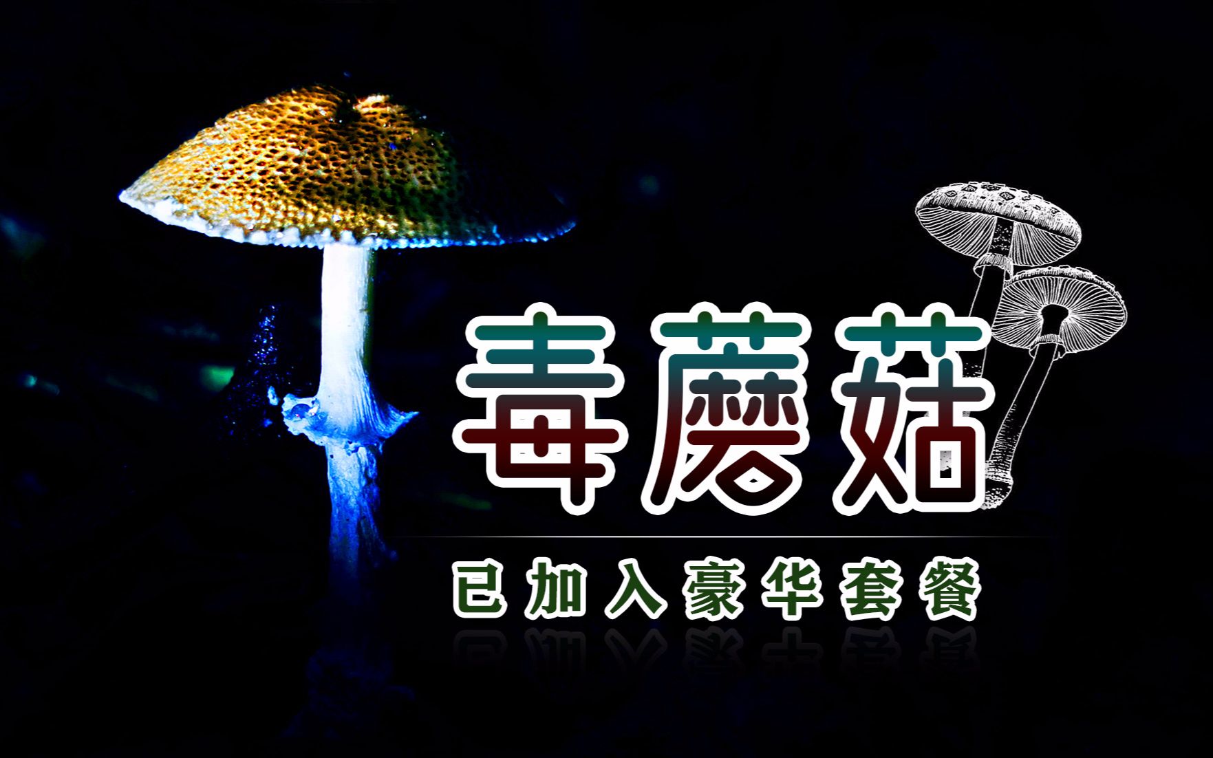 西南地区常见的7种毒蘑菇,最后两种很多人经常吃!哔哩哔哩bilibili