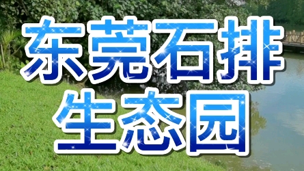 东莞石排生态园!哔哩哔哩bilibili