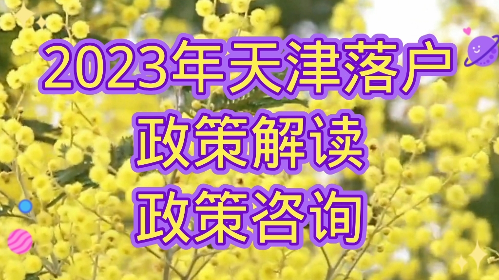 2023年天津落户政策哔哩哔哩bilibili