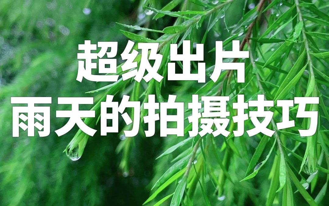 nicoco手机摄影|超级出片雨天的拍摄技巧哔哩哔哩bilibili