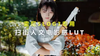 Download Video: 索尼微单专用！SLOG3扫街人文电影感LUT！