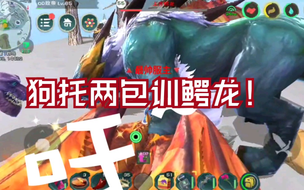 活动作品创造与魔法狗托老欧帝两包饲料训鳄龙