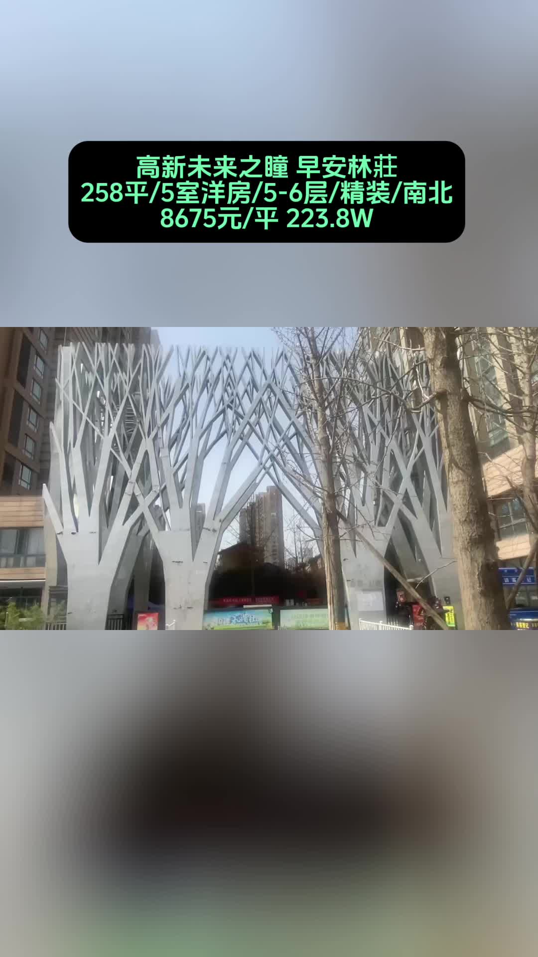 高新未来之瞳258平5室,单价8675元/平,起拍价223.8万