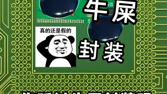 芯片牛屎封装 你可能没听过但你一定见过