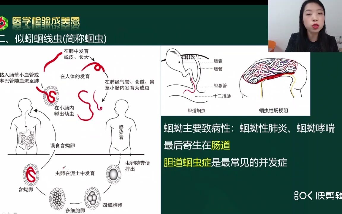 寄生虫学蠕形住肠线虫(简称蛲虫)它是怎样进入你的身体的?——医学检验讲师(成美恩)哔哩哔哩bilibili