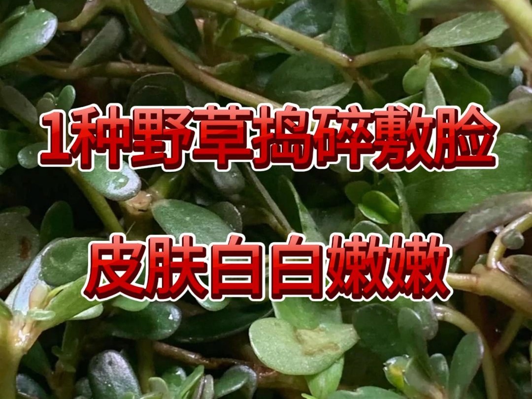 玫瑰花捣烂敷脸图片