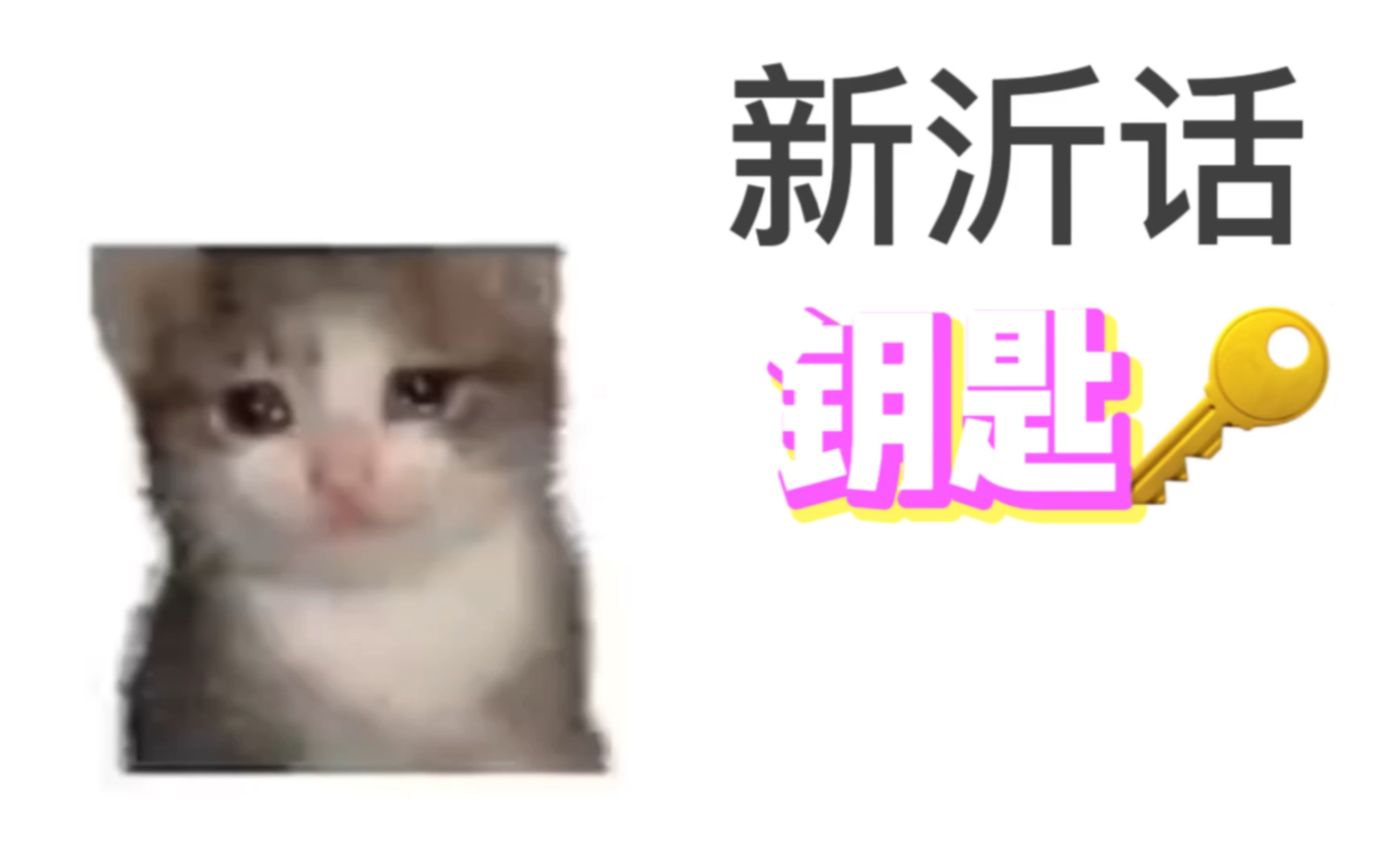 可颂猫,但是徐州新沂话的“钥匙”哔哩哔哩bilibili