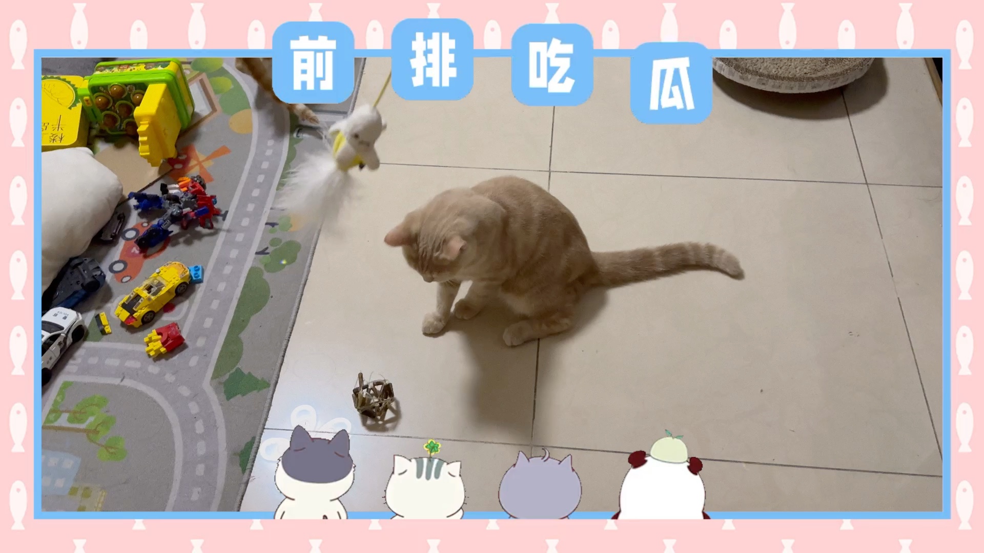 一只英短与两只橘猫一起玩耍