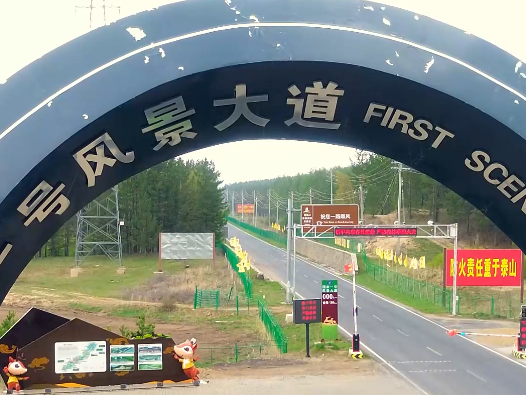 塞罕坝国家一号风景大道木兰围场承德避暑山庄乾隆康熙 丰宁大滩!