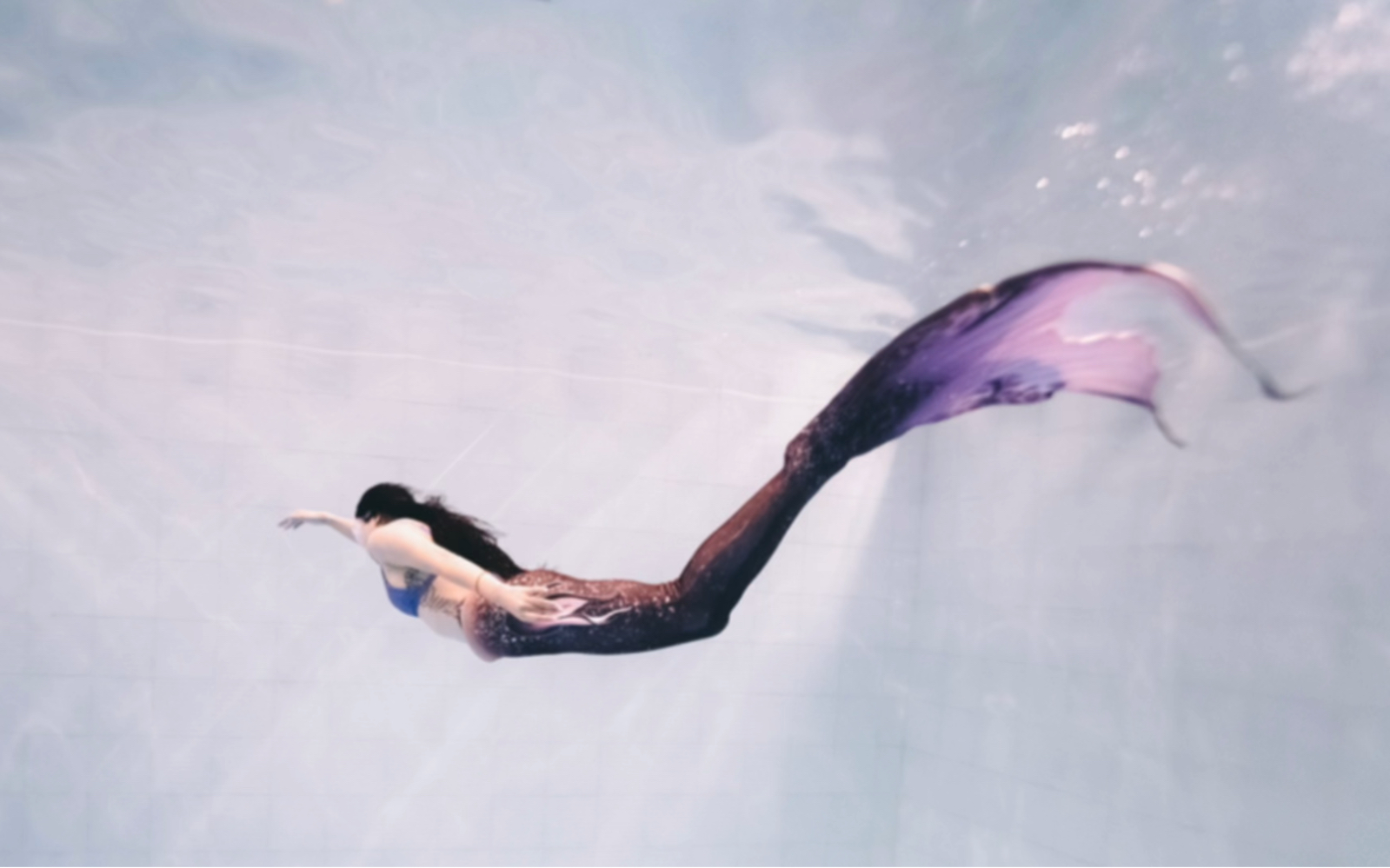 紫色系暗黑美人鱼尾～打卡无锡首家潜水馆