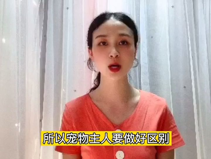 猫鼻支会传染给人吗哔哩哔哩bilibili