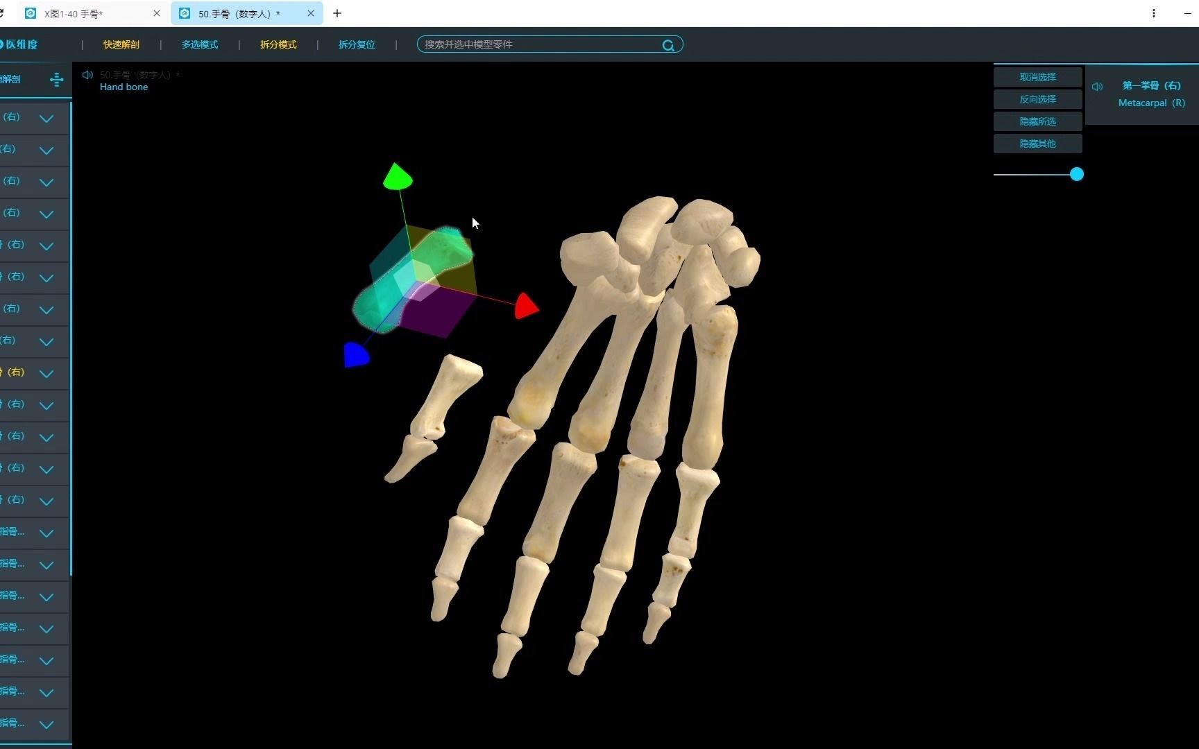 【医维度解剖app】手骨哔哩哔哩bilibili