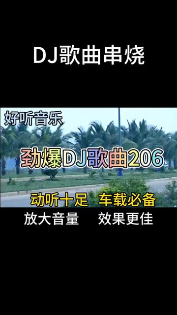 [图]几首非常好听音乐串烧歌曲《劲爆DJ歌曲206》动听十足，车载必备