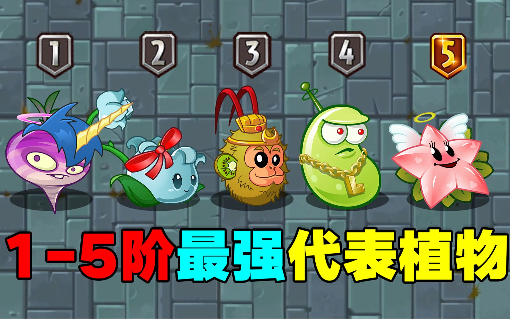 PVZ盘点:15阶最强代表植物!哔哩哔哩bilibili植物大战僵尸