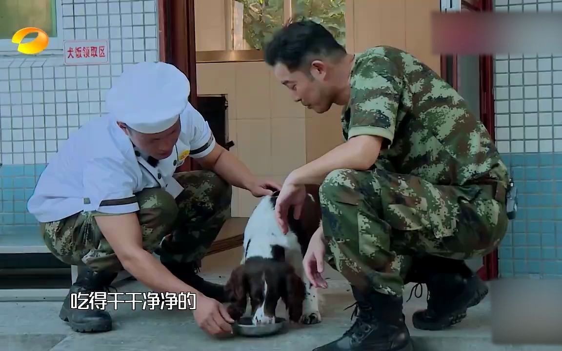 [图]奇兵神犬：警犬阿贝吃饱自己回家，营养师沙溢：饿了再过来啊！