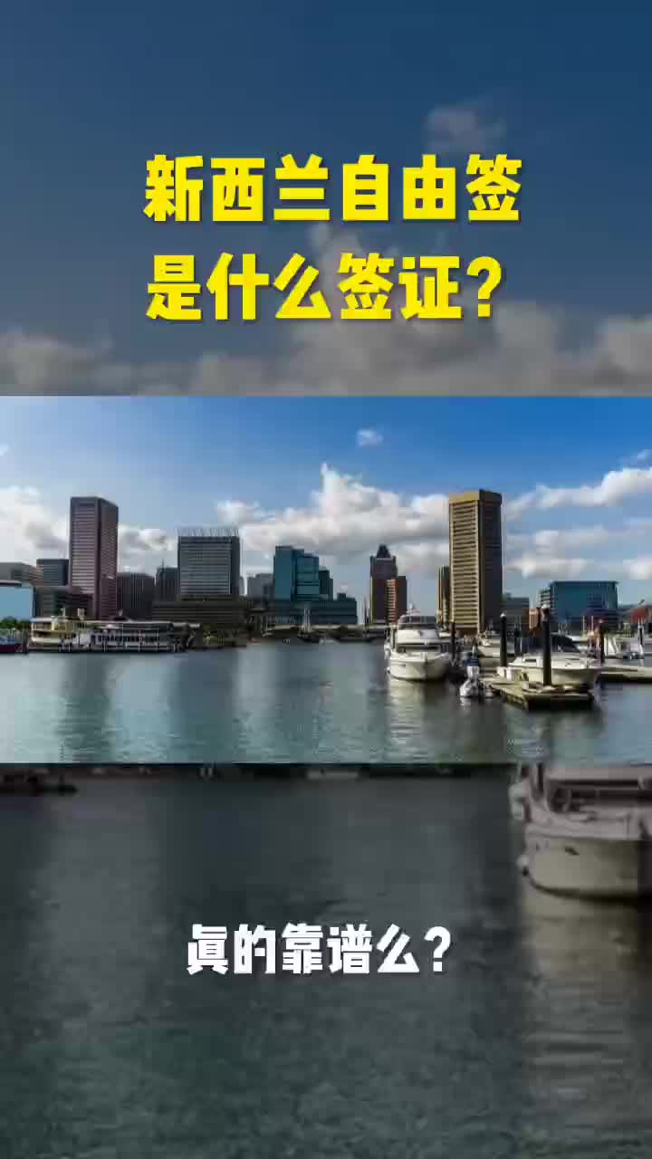 新西兰自由签是什么签证?哔哩哔哩bilibili