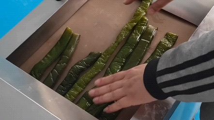 海白菜切块机#裙带菜切段机#海白菜切丝机#裙带菜梗切丝机#裙带菜构 