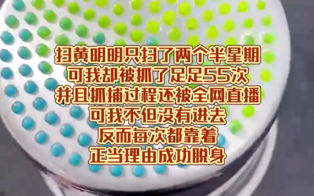 扫黄明明只扫了两个半星期可我却被抓了足足55次并且抓捕过程还被全网直播可我不但没有进去反而每次都靠着正当理由成功脱身哔哩哔哩bilibili