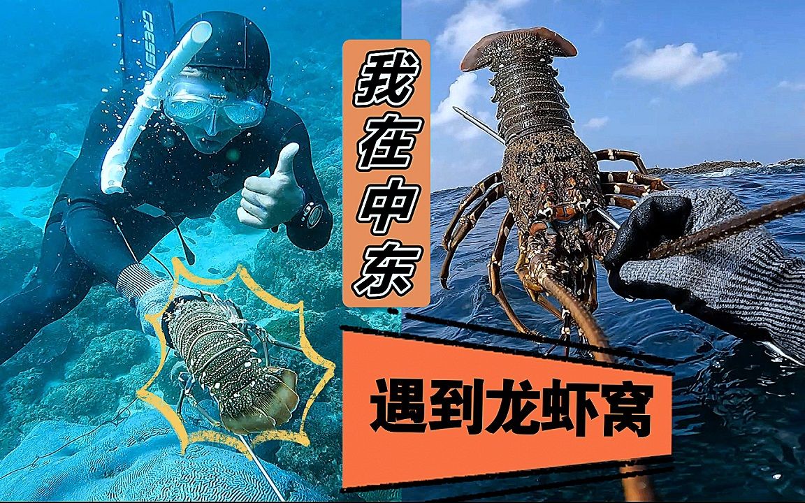 [图]《环球探海记》阿曼 第33天：今天赶海收获好了多大龙虾，但是居然都没人吃