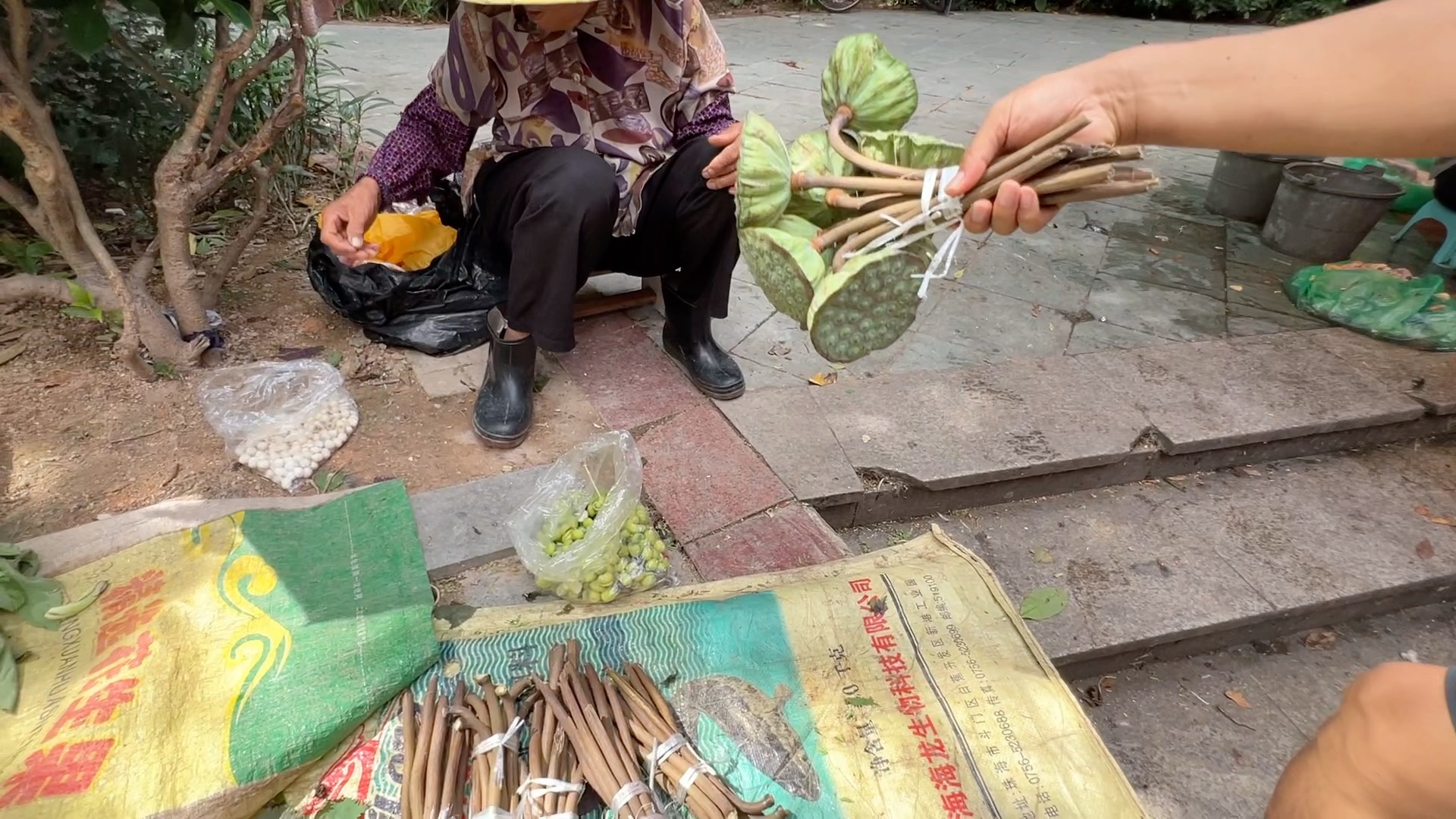 北京夫妻在中山:中山有多接地气?看看市中心的农贸市场价格吧!哔哩哔哩bilibili