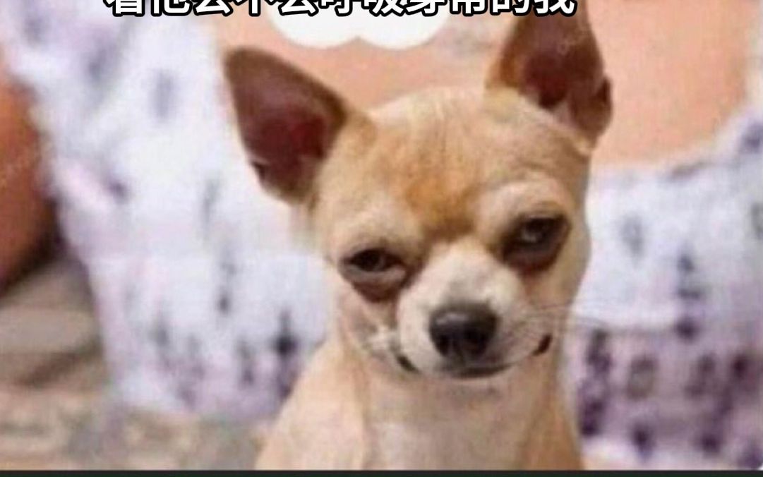 【过于真实系列】国外社交媒体搞笑梗图第8期(meme)