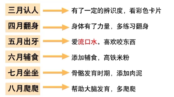 爸妈必知的宝宝成长发育口诀哔哩哔哩bilibili