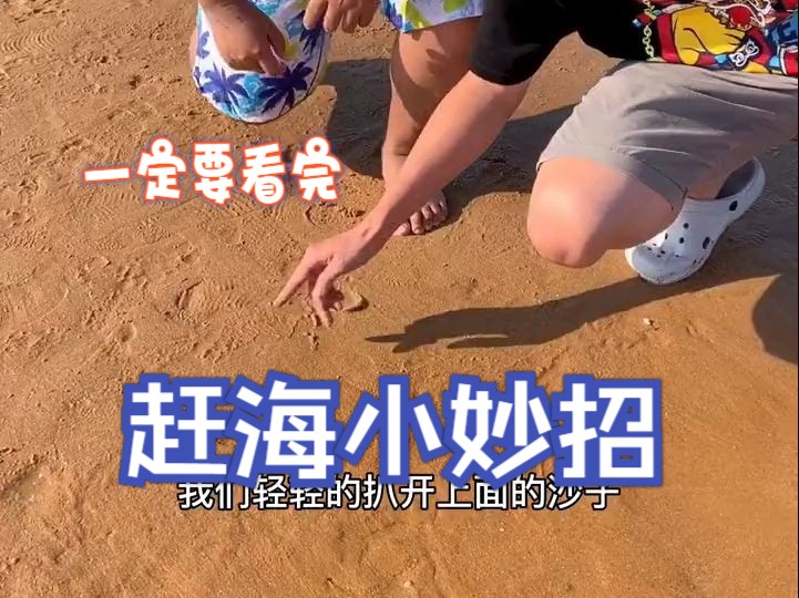 赶海小妙招哔哩哔哩bilibili