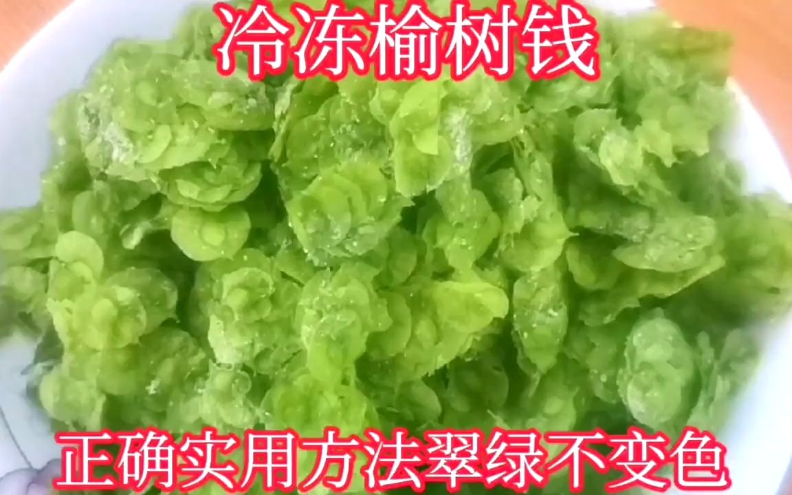 冷冻榆树钱食用时方法用对了翠绿不变色发黑!口感给新鲜的一样!哔哩哔哩bilibili