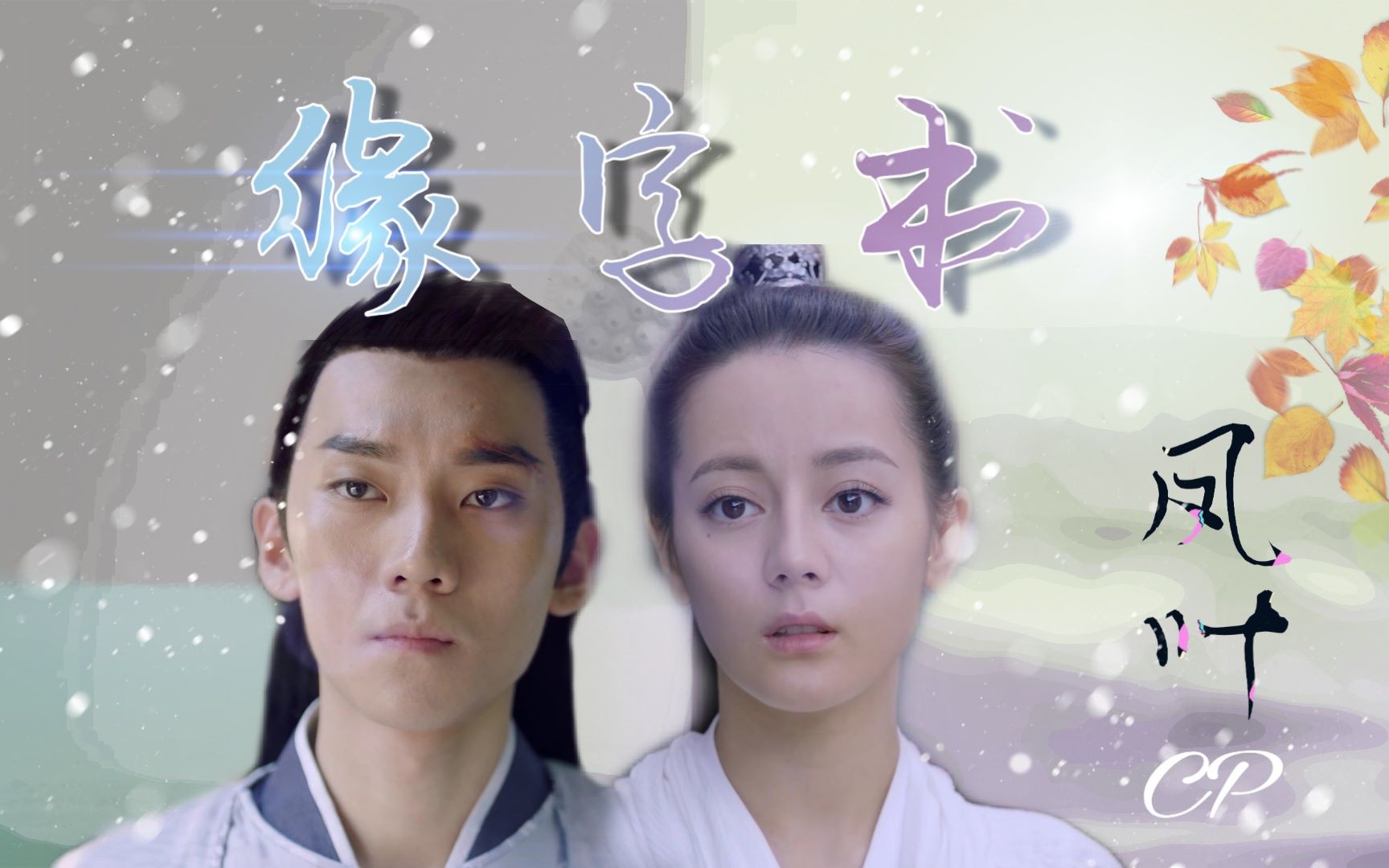 【三生三世枕上书】【叶青缇&白凤九】 凤叶cp缘字书