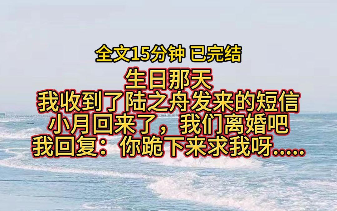 【完结文】生日那天,我收到了陆之舟发来的短信,小月回来了,我们离婚吧 , 我回复:你跪下来求我呀哔哩哔哩bilibili