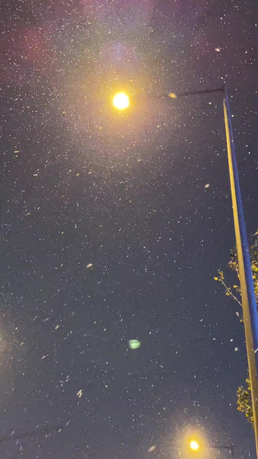 下雪路灯实景图片