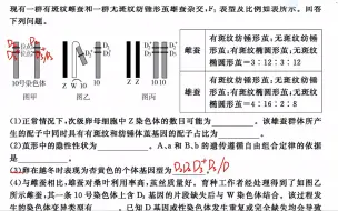 下载视频: 济宁市2022-2023学年度第一学期期末高三生物22