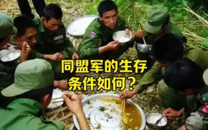 Download Video: 同盟军的生存条件如何？