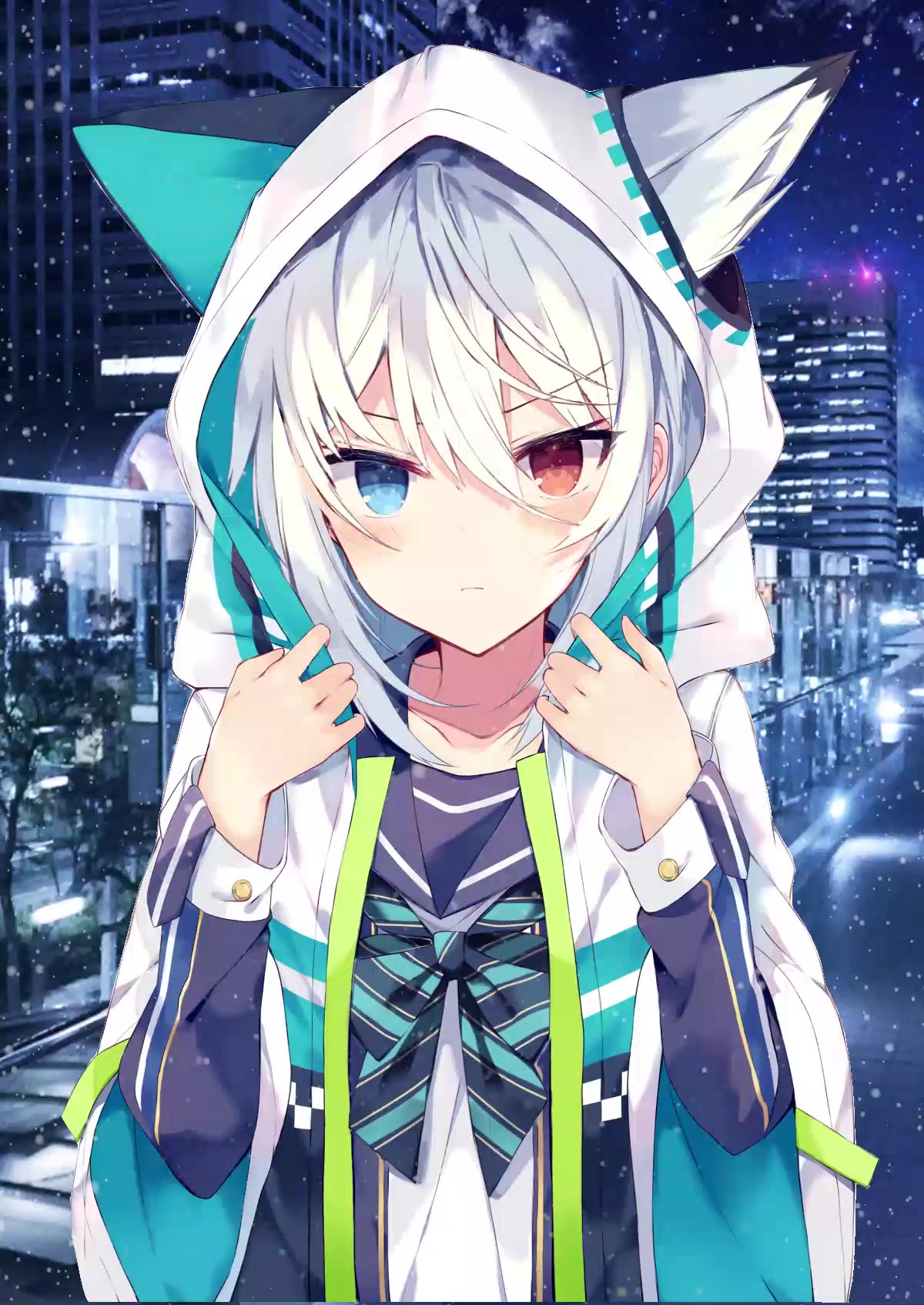 动态猫耳手机壁纸