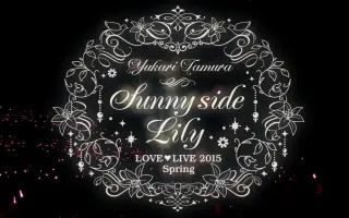 Sunny Side Lily 搜索结果 哔哩哔哩 Bilibili