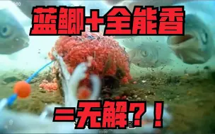 Download Video: 蓝鲫+全能香=天下无敌？？！看完就知道了