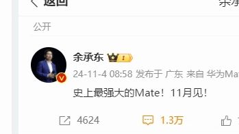 “史上最强大的mate” 字少事大,上一次余总喊出史上最强大的mate还是华为mate 40系列 bandicam 20241106 233134哔哩哔哩bilibili