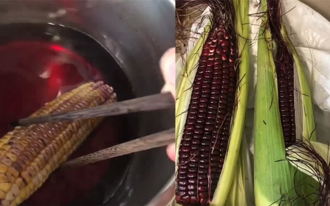 男子买黑玉米煮完后竟然褪成黄色,锅里变成一滩紫水:这正常吗?