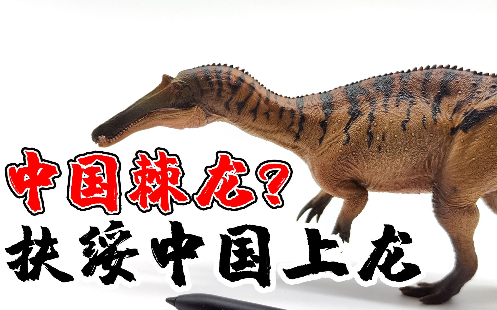 差出新高度?pnso中国棘龙真身竟是鱼猎龙?