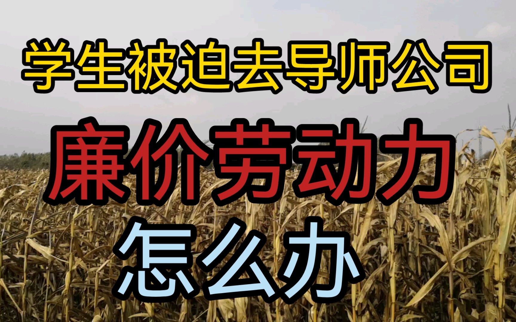 学生被迫去导师公司干活,不给钱,怎么办?徐教授说句心里话.哔哩哔哩bilibili