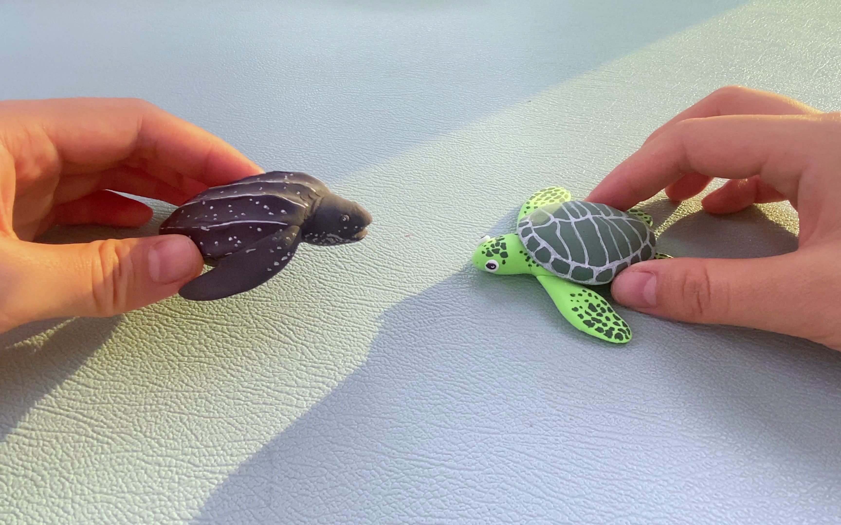 用粘土制作小海龟吧!背着我的盔甲,什么都不怕!