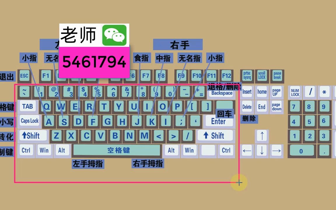 零基础学电脑打字,快速学会键盘打字,适合初学者学习