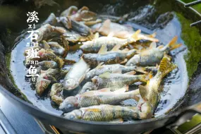 下载视频: 山野纪美食｜溪石斑鱼，与河虾一锅炖太鲜了