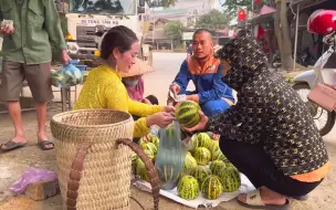 Descargar video: 金花采摘甜瓜在路边摆摊，路过的胡子哥眼睛都看直了，口水直流